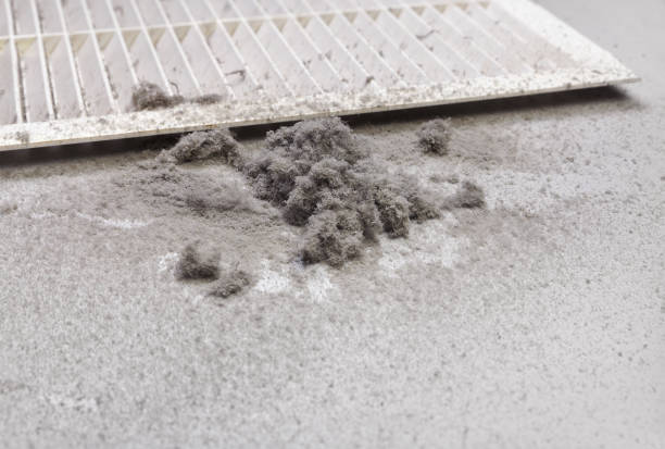 Best Affordable Air Duct Cleaning  in Lakewood Clu, MI
