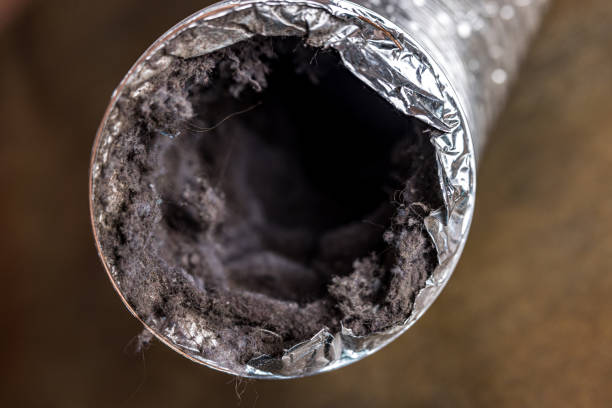 Best Best Air Duct Cleaning Company  in Lakewood Clu, MI