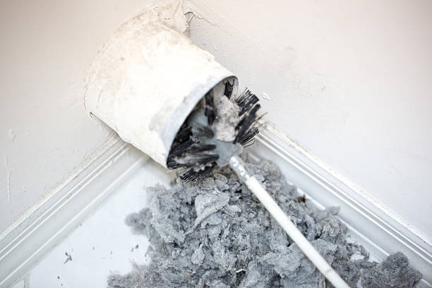 Best Affordable HVAC Duct Cleaning  in Lakewood Clu, MI